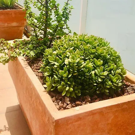 Penthouse La Paz 9 - Castle View Apartment Moraira Exterior photo
