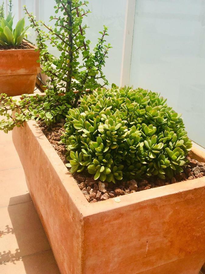 Apartment Penthouse La Paz 9 - Castle View Moraira